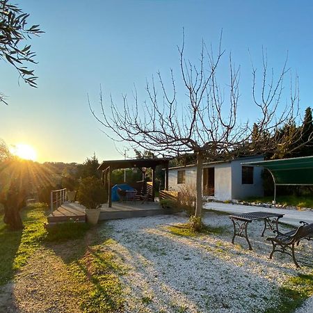 Penzion Olive Grove Anavyssos Exteriér fotografie