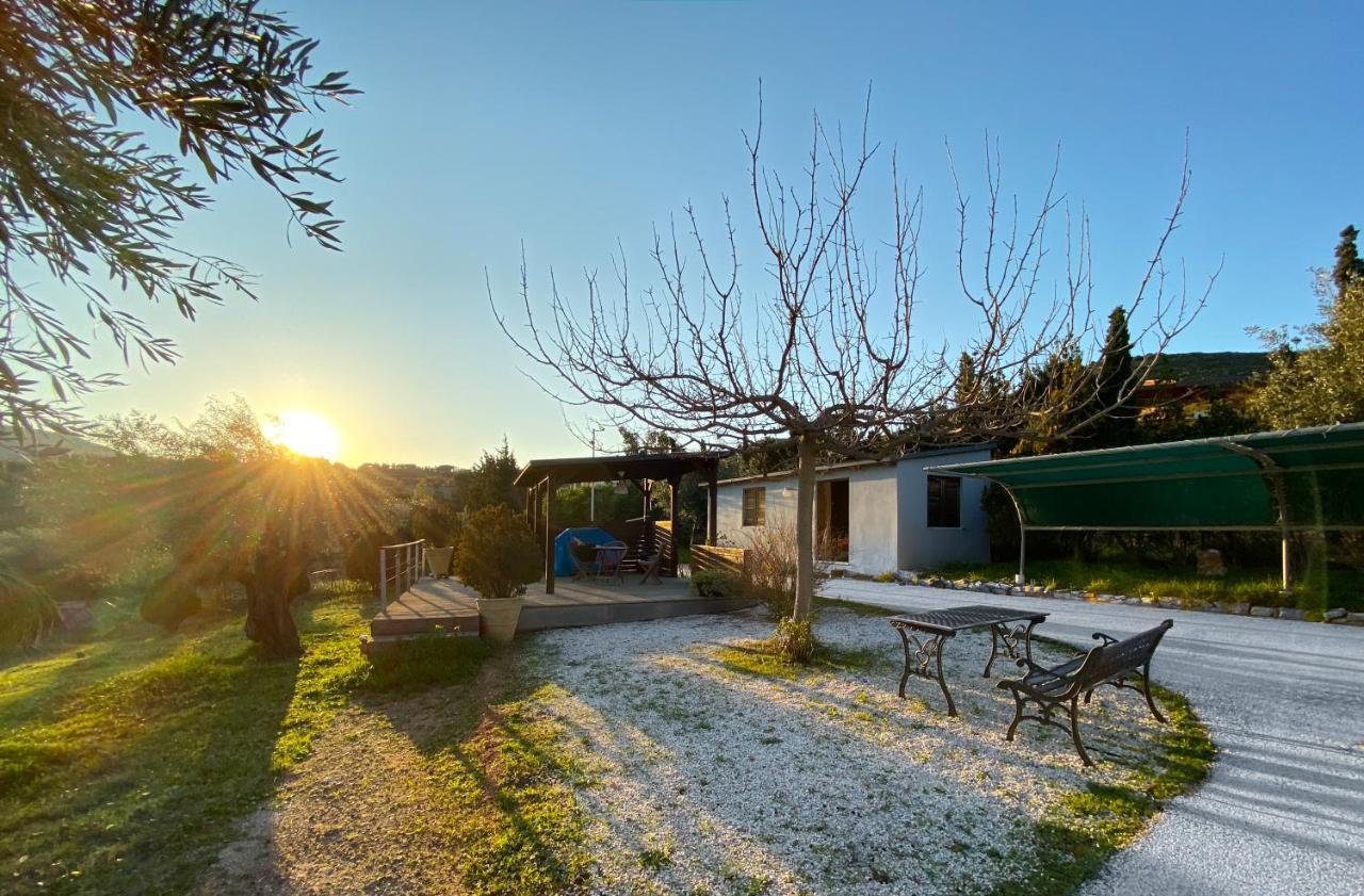 Penzion Olive Grove Anavyssos Exteriér fotografie