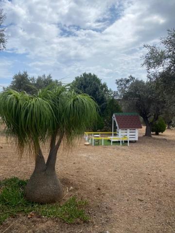 Penzion Olive Grove Anavyssos Exteriér fotografie